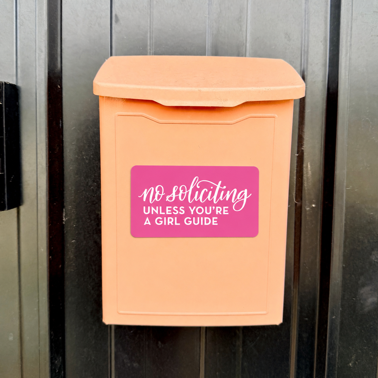 Magnetic No Soliciting Sign