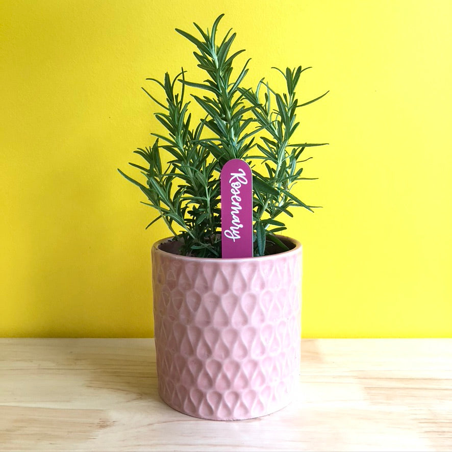 Herb & Veggie Markers