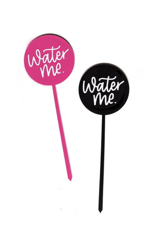 Water Me Plant Stake